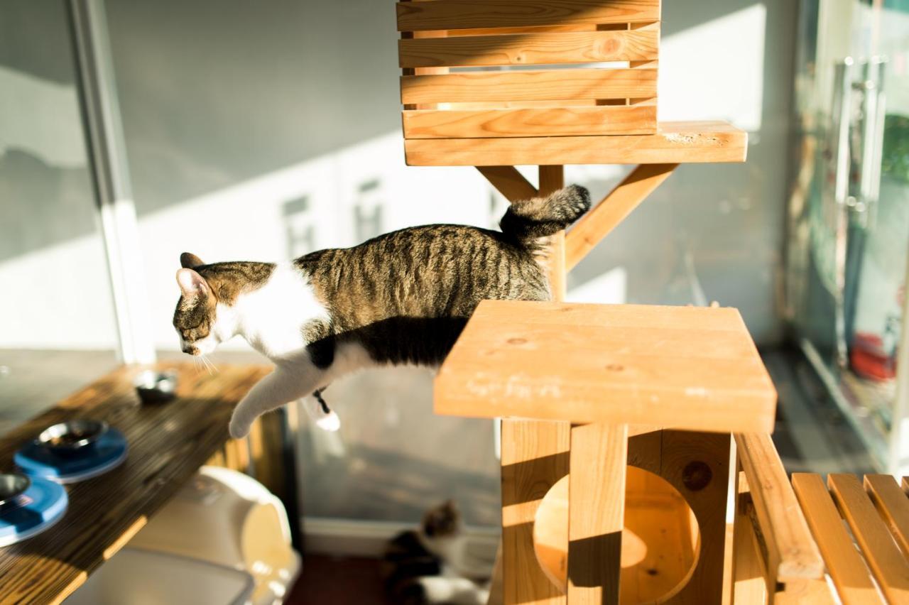 Hello Make Yourself At Home Кэньдин Экстерьер фото